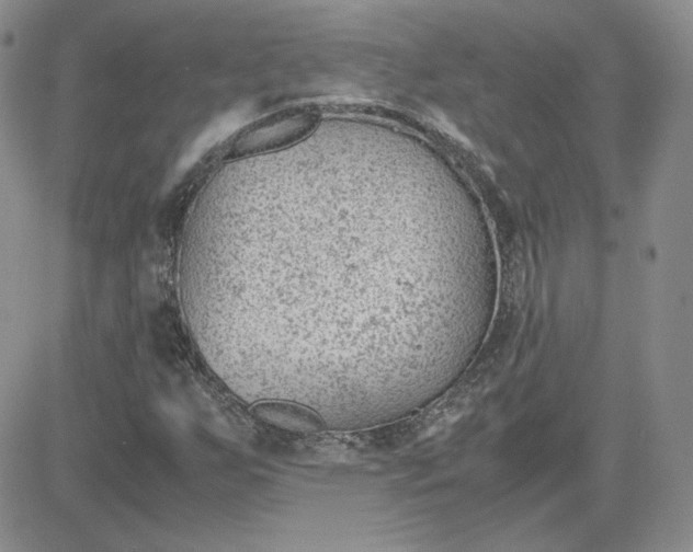 X0000081291255200701251644