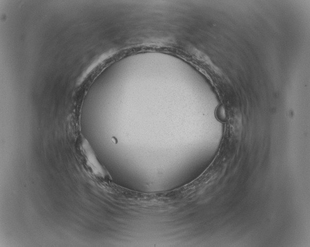 X0000081291256200701251644