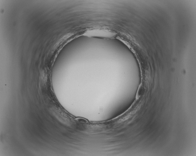 X0000081291257200701251644