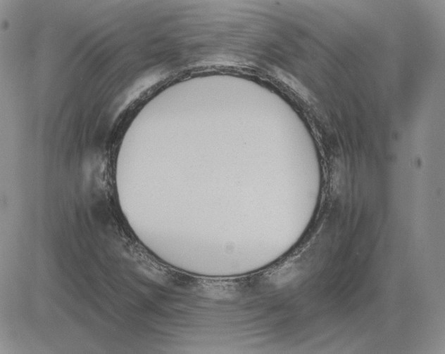 X0000081291258200701251644