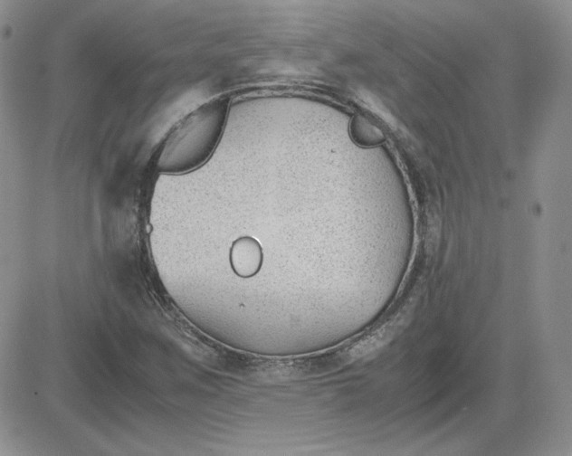 X0000081291259200701251644