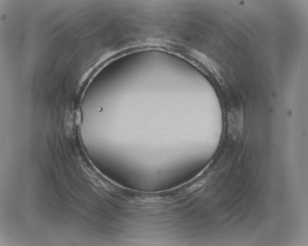 X0000081291260200701251644