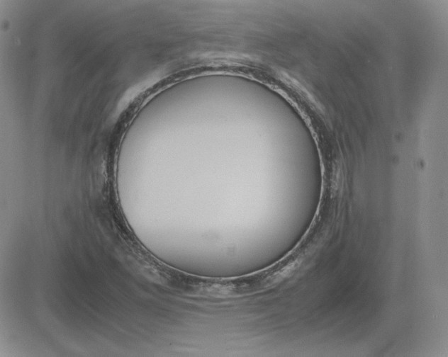 X0000081291261200701251644