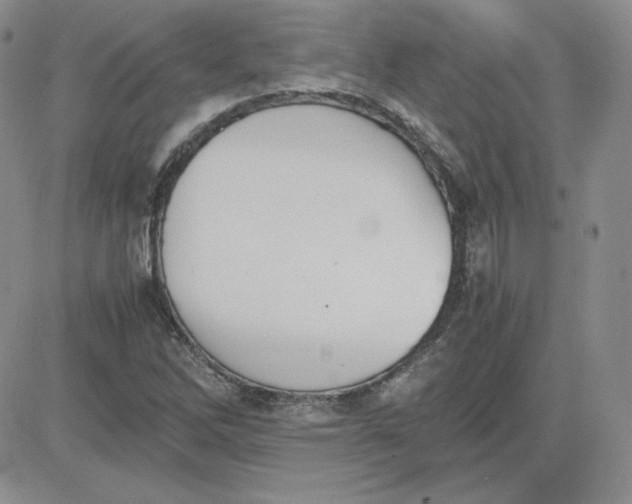 X0000081291262200701251644