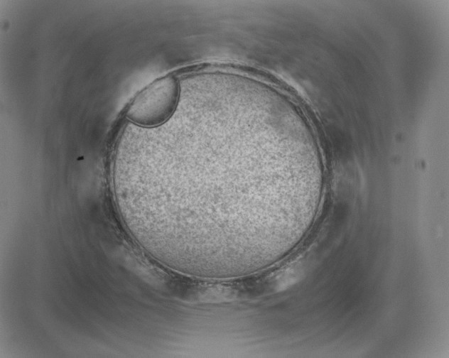 X0000081291263200701251644