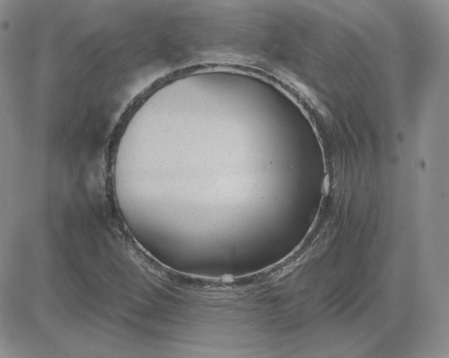 X0000081291264200701251644