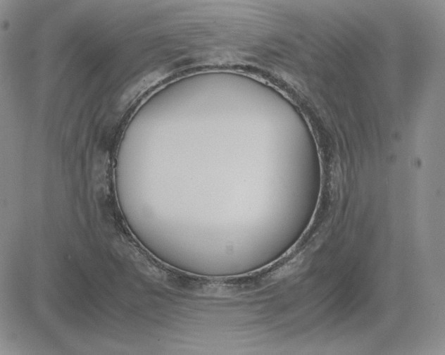 X0000081291265200701251644