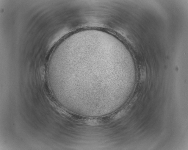 X0000081291266200701251644