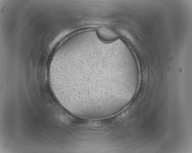 X0000081291267200701251644