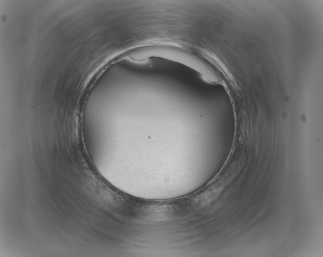 X0000081291268200701251644