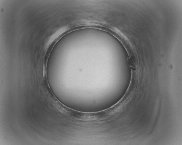 X0000081291269200701251644