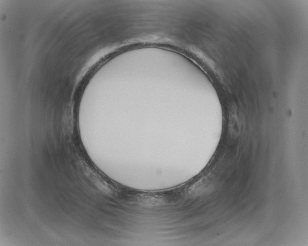 X0000081291270200701251644