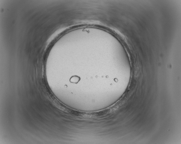 X0000081291271200701251644