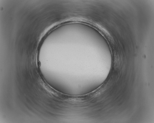 X0000081291272200701251644