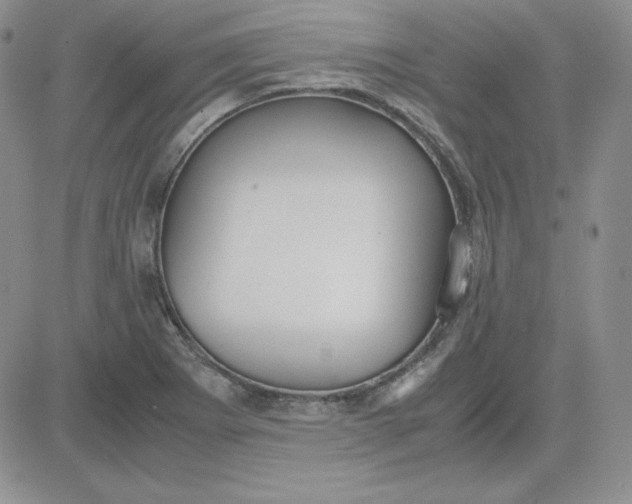 X0000081291273200701251644