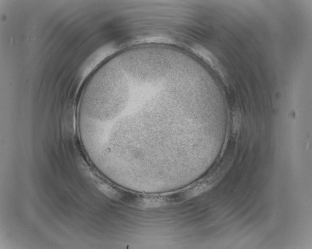 X0000081291274200701251644