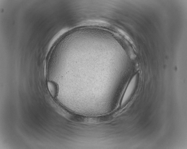 X0000081291275200701251644