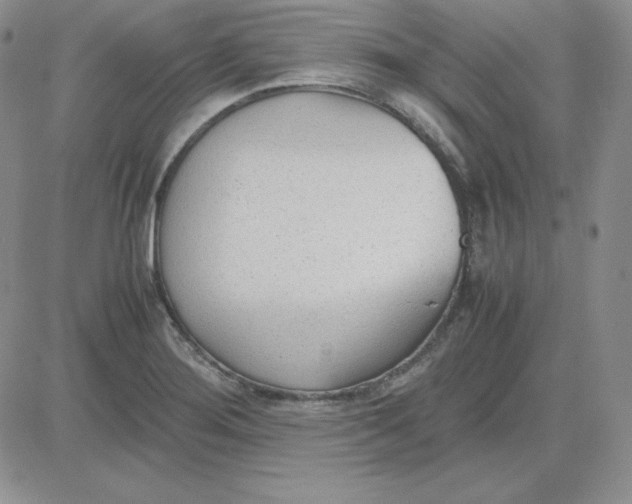 X0000081291276200701251644