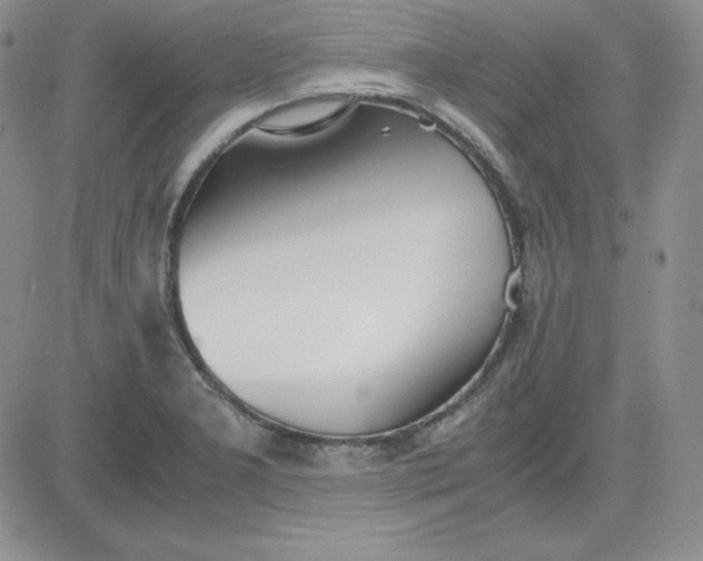 X0000081291277200701251644