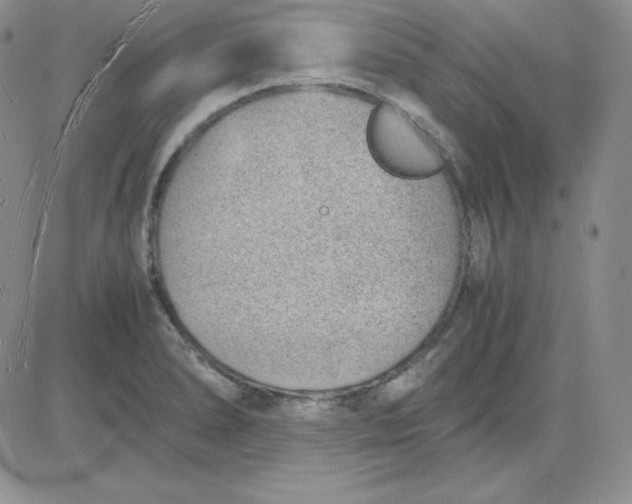 X0000081291278200701251644