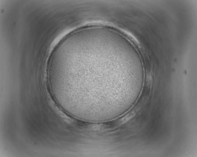 X0000081291279200701251644