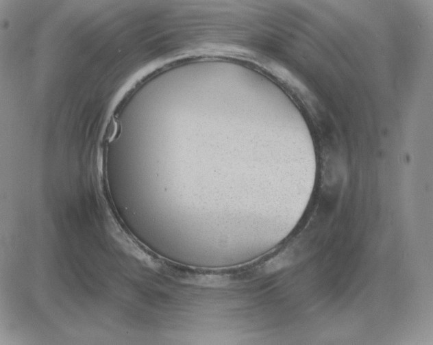 X0000081291280200701251644