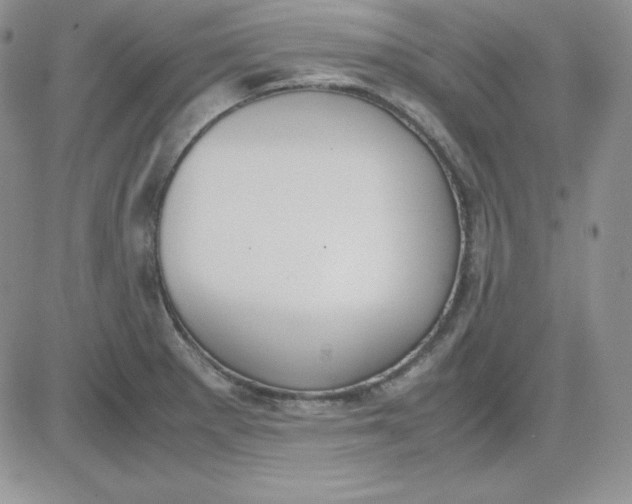 X0000081291281200701251644