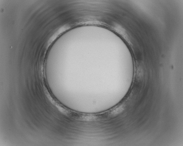 X0000081291282200701251644