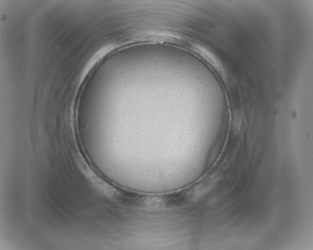 X0000081291283200701251644