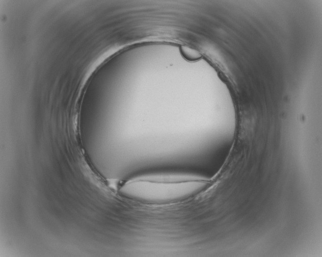 X0000081291284200701251644