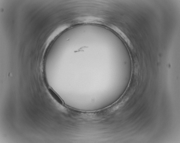 X0000081291285200701251644