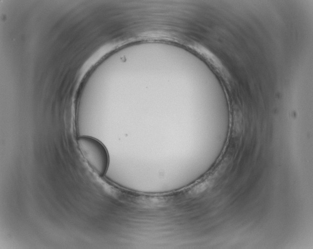 X0000081291286200701251643