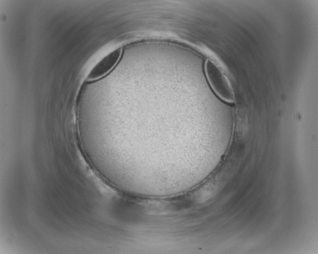 X0000081291287200701251643