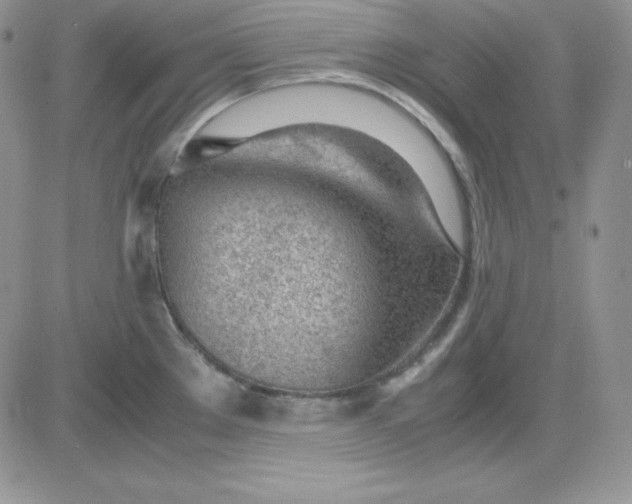 X0000081291289200701251643