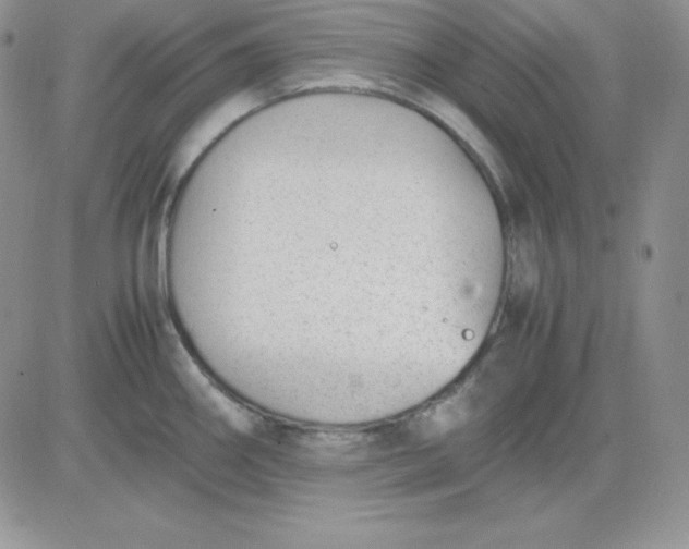 X0000081291290200701251643