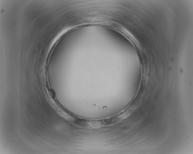 X0000081291291200701251643