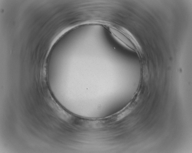 X0000081291292200701251643