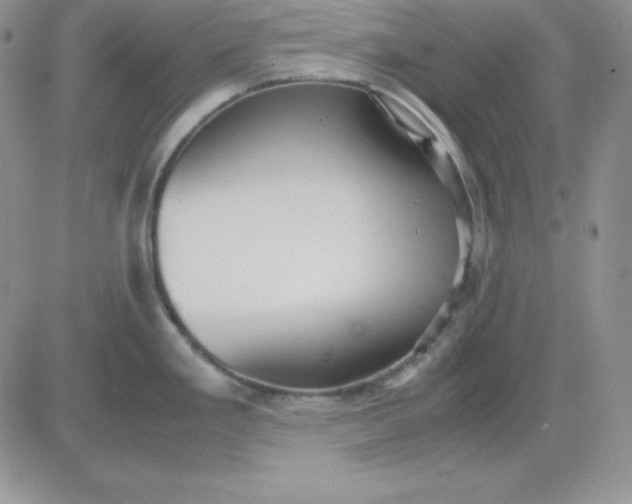 X0000081291293200701251643