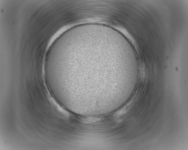 X0000081291294200701251643