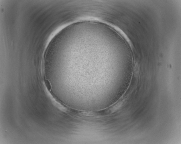 X0000081291295200701251643