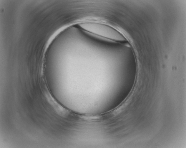 X0000081291296200701251643