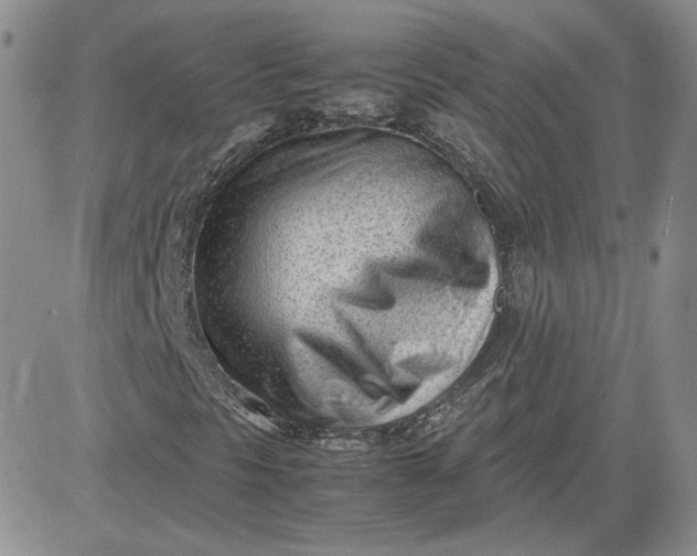 X0000081291297200701251643