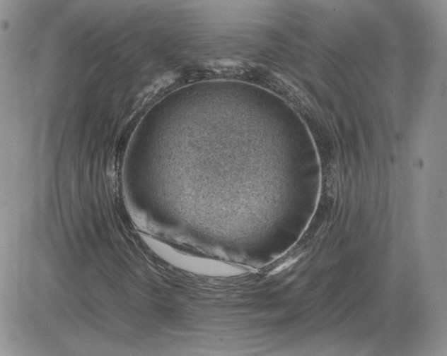 X0000081291298200701251643