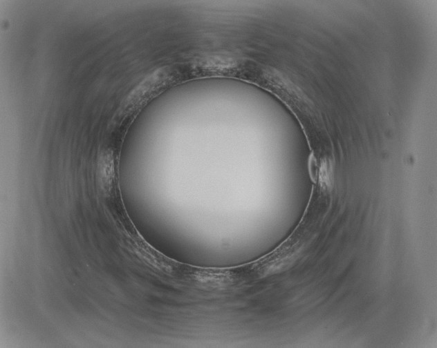 X0000081291299200701251643