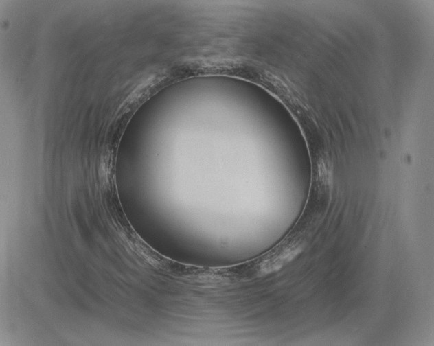 X0000081291300200701251643