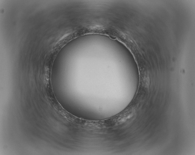 X0000081291301200701251643