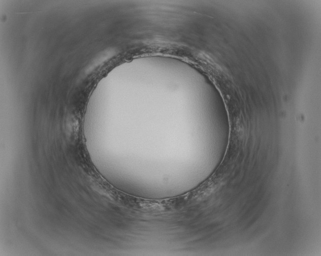 X0000081291302200701251643