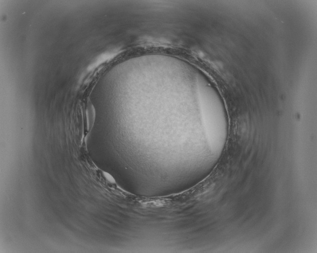 X0000081291303200701251643