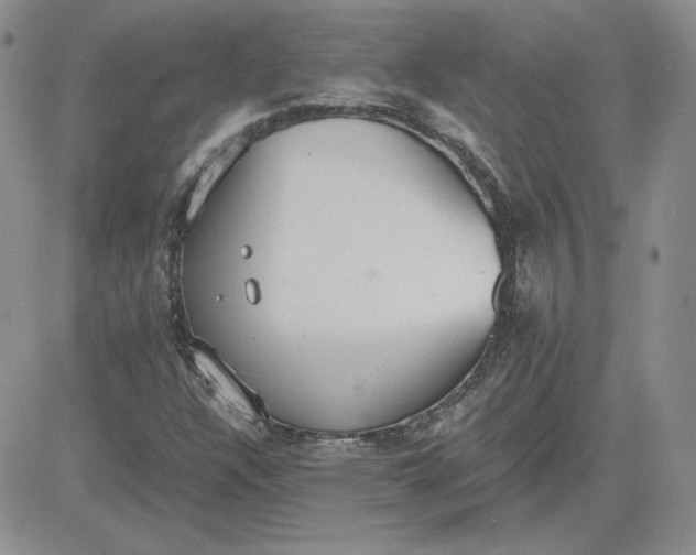 X0000081291304200701251643