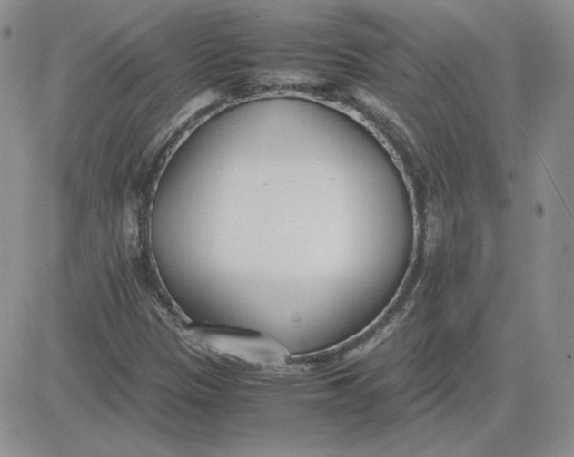 X0000081291305200701251643